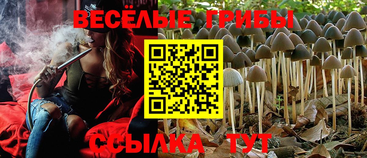 Псилоцибиновые грибы MAGIC MUSHROOMS Городец