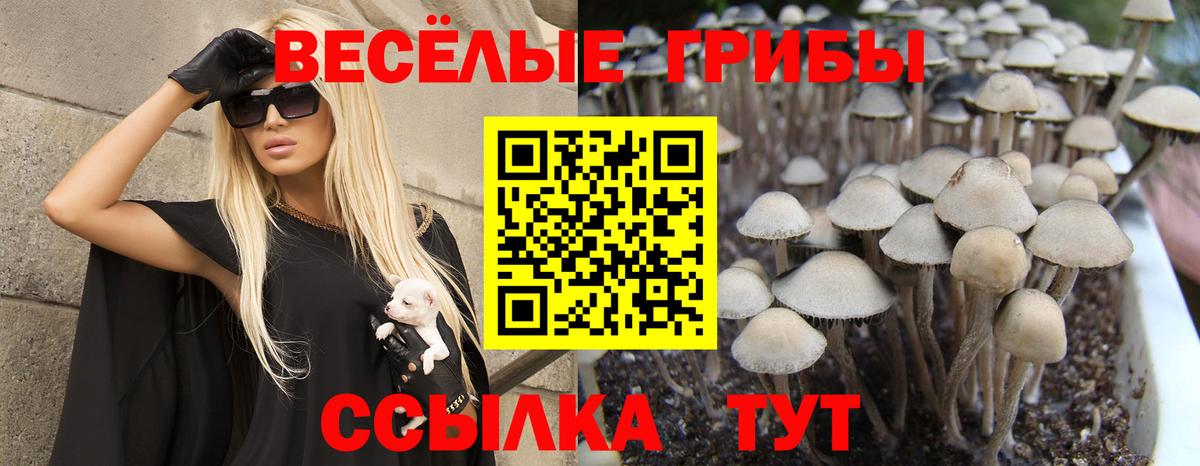 Городец  Псилоцибиновые грибы мухоморы  Вход с VPN 